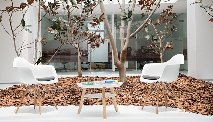 引自澳洲的植物景观